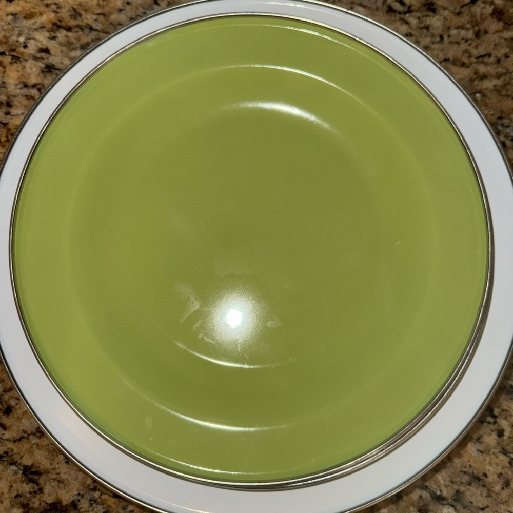 Pottery Barn Green and White Outdoor Dinner Plates and Chargers Set